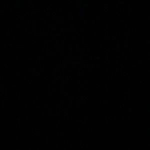 Meet your Posher, Chasity